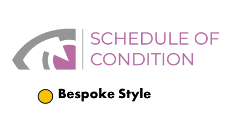 Schedule Of Condition Report
