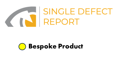 Single Defect Report